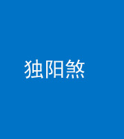 儋州阴阳风水化煞四十二——独阳煞